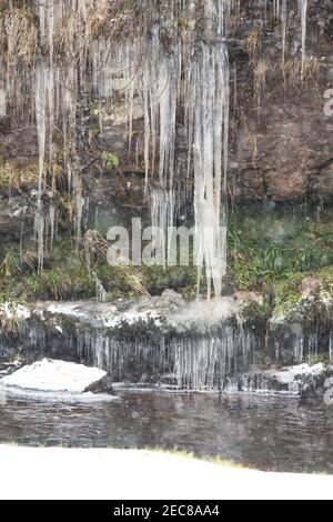 Gartness, Stirling, Scozia, Regno Unito. 13 Feb 2021. Tempo nel Regno Unito: Il tempo rimane amaramente freddo con ghiaccio e docce di neve nel villaggio di Gartness. Foto - icicles sulle rive di Endick Water Credit: Kay Roxby/Alamy Live News Foto Stock