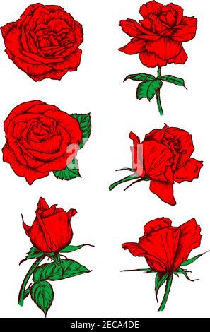 Rosse rose gemme icone. Vettore disegnare elementi botanici con stelo e foglie. Fiori di rosa scarlatto emblemi per tatuaggio, icona, decorazione Illustrazione Vettoriale