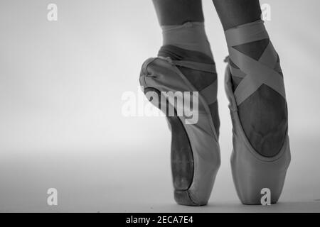 Scala di grigi dei piedi di una ballerina indossando scarpe appuntite uno sfondo bianco Foto Stock