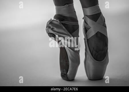 Scala di grigi dei piedi di una ballerina indossando scarpe appuntite uno sfondo bianco Foto Stock