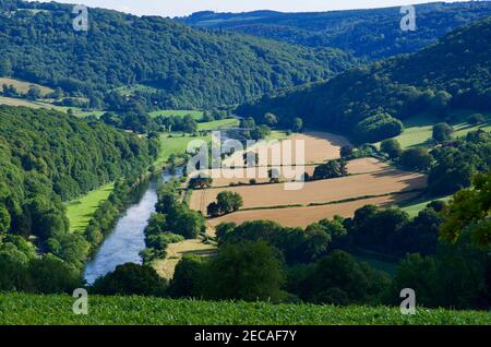 Il Lower River Wye e Bigsweir Bridge in estate, dove uno stramazzo naturale limita la sua estensione marea. Questo punto di vista si affaccia anche sul percorso della diga dell'Offa. Foto Stock