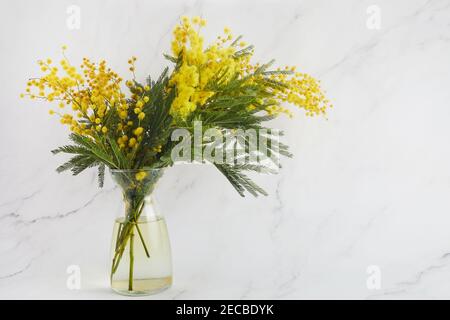 Bouquet di fiori di mimosa gialli su fondo vaso. Concetto di giorno delle donne o delle madri Foto Stock