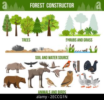 Manifesto costruttore di foresta con arbusti di alberi e animali d'erba e. la fonte di uccelli impacchi piatta isolato vettore illustrazione Illustrazione Vettoriale