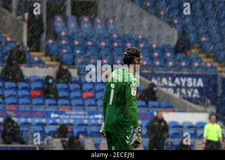 Cardiff, Regno Unito. 13 Feb 2021. Marko MAROSI, il portiere della città di Coventry guarda durante la caduta della neve. EFL Skybet Championship, Cardiff City contro Coventry City al Cardiff City Stadium di Cardiff, Galles, sabato 13 febbraio 2021. Questa immagine può essere utilizzata solo per scopi editoriali. Solo per uso editoriale, è richiesta una licenza per uso commerciale. Nessun utilizzo nelle scommesse, nei giochi o nelle pubblicazioni di un singolo club/campionato/giocatore. pic di Andrew Orchard/Andrew Orchard sports photography/Alamy Live news Credit: Andrew Orchard sports photography/Alamy Live News Foto Stock