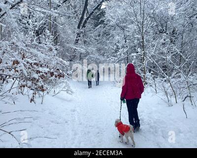 La gente apprezza la scena invernale dopo una grande tempesta di neve a Prospect Park, Brooklyn, New York. Foto Stock