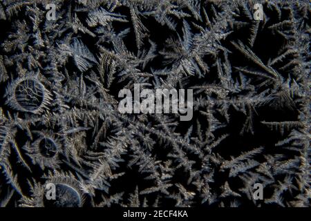 Macro di varie forme astratte di cristalli di ghiaccio su un finestra in vetro con sfondo nero Foto Stock