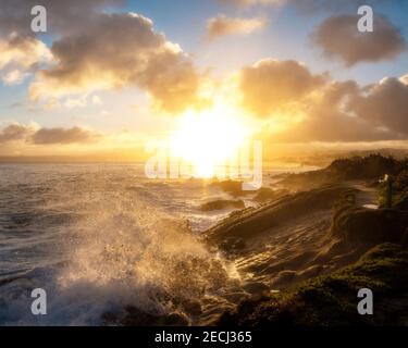 Monterey Bay sorge lungo la costa di Pacific Grove, California Foto Stock