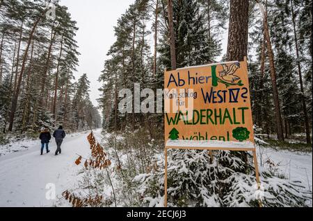 Weiden a Der Oberpfalz, Germania. 10 Feb 2021. "Da qui sulla schiarimento per il IV ovest - voto per la conservazione della foresta" è scritto su un poster in una foresta nella parte occidentale della città. Con un referendum, i residenti di Weiden possono votare su una zona commerciale prevista nella foresta. La foresta di 70 ettari deve essere bonificato per una zona commerciale. (Al dpa: 'Risultato del referendum dei cittadini' sulla vendita di foresta statale a Weiden previsto') credito: Armin Weigel/dpa/Alamy Live News Foto Stock