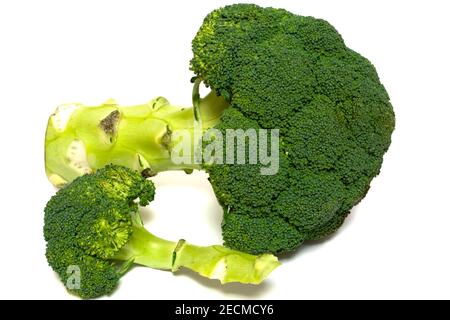 Elemento di progettazione per collage. Verdure di broccoli di buah grandi isolate su sfondo bianco. Stile di vita sano. Foto Stock
