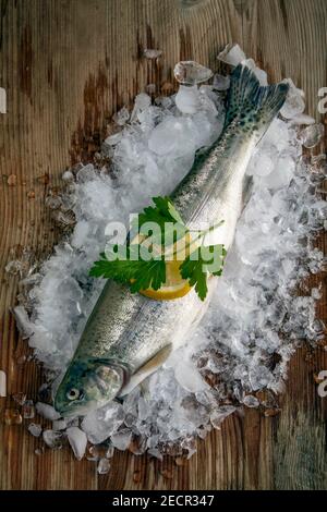 trota appena sgutata con ghiaccio su una superficie di legno Foto Stock