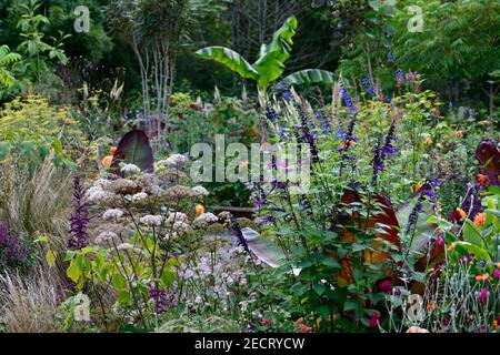 angelica sylvestris purea,salvia amistad,Foeniculum vulgare purpureum,finocchio di bronzo,ensete ventricosum maureli,foglie,fogliame,tropicale,pianta,pianta Foto Stock