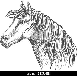 Cavallo bianco con manna lungo il collo. Ritratto di stallone Mustang con occhi gentili e sguardo meditativo Illustrazione Vettoriale