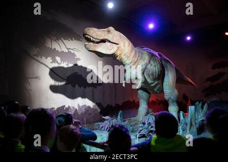 I visitatori che guardano un animatronico di un tirannosauro nel museo di storia naturale. Preso a Londra, Regno Unito il 22 novembre 2018. Foto Stock
