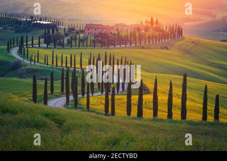 Graziose case sulla collina e tortuosa strada decorata con cipressi in fila. Bellissimo paesaggio di campagna toscana con campi di grano al tramonto, AS Foto Stock