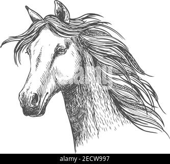 Cavallo bianco aggraziato con manna ondulata lungo il collo. Ritratto di stallone Mustang con occhi saggi e sguardo calmo Illustrazione Vettoriale