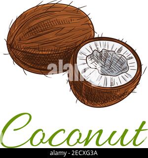 Cocco. Emblema di prodotto isolato di noci di cocco intere e fessurate per etichetta di prodotto di frutta, adesivo di imballaggio, etichetta di negozio di alimentari, negozio di fattoria Illustrazione Vettoriale