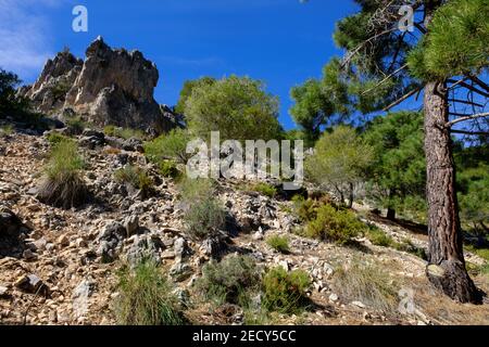 Escursioni El Saltillo rotta, Axarquia, Malaga, Andalucía, Spagna Foto Stock