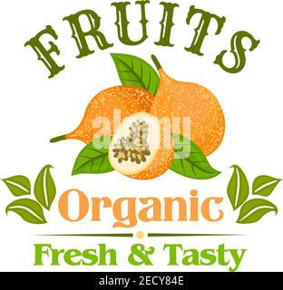 Badge esotico frutto della passione con tutto e metà di frutti gialli maracuja con foglie verdi fresche, incorniciati da testate frutti biologici. Cocktail tropicale, Illustrazione Vettoriale
