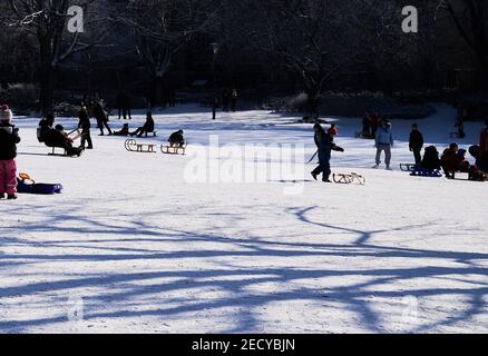 Berlino, Germania. 14 Feb 2021. Molti sledder girovagano intorno al Volkspark am Weinberg in tempo invernale soleggiato. Credit: Annette Riedl/dpa/Alamy Live News Foto Stock