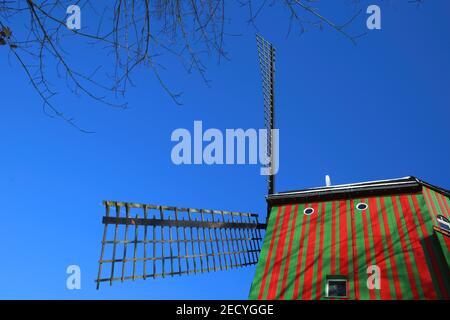 Viersen (Dulken), Germania - 9 febbraio. 2021: Vista oltre i gradini sul mulino a vento a righe di colore verde rosso (Narrenmuhle) contro il cielo blu in inverno Foto Stock