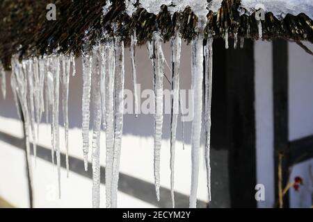 Primo piano di filari isolati di icicles affilati appesi al tetto a canna di casa tedesca in legno in giornata di sole Foto Stock