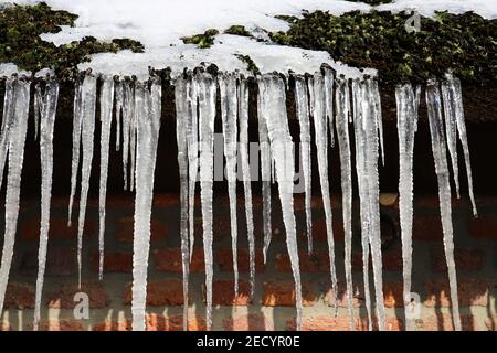 Primo piano di filari isolati di icicles affilati appesi al tetto a canna di casa tedesca in legno in giornata di sole Foto Stock