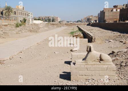 Vicolo Sphinx nel centro di Luxor in Egitto Foto Stock