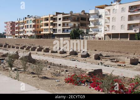 Vicolo Sphinx nel centro di Luxor in Egitto Foto Stock
