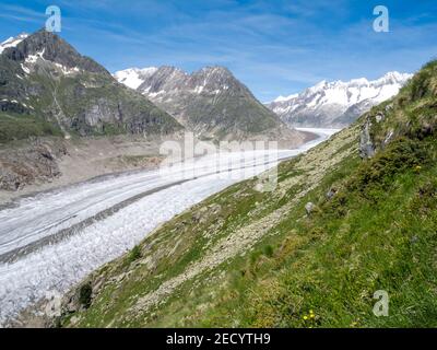 Vista sul Grande ghiacciaio dell'Aletsch, Aletschgletscher, nelle Alpi Bernesi, nel cantone del Vallese, nelle Alpi svizzere, in Svizzera, in Europa Foto Stock