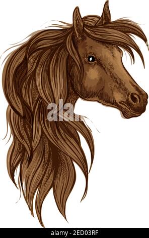 Schizzo della testa del cavallo arabo. Cavallo bruno stallone di razza araba. Segno corse ippiche, concorso sportivo equestre a tema design Illustrazione Vettoriale