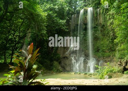 Cascate di Kawasan nella giungla tropicale, Bohol, Filippine. Cascata nella foresta tropicale. Foto Stock