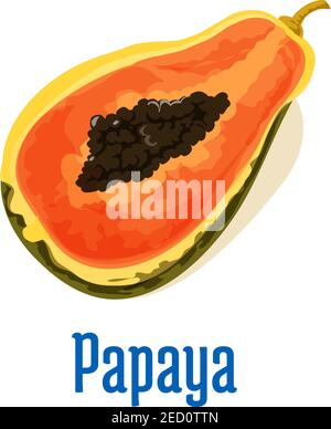Papaya mezzo taglio icona con semi. Emblema vettoriale di isolato gustoso frutto tropicale papaia. Elemento di design per succo, etichetta adesiva marmellata, confezione di snack Illustrazione Vettoriale
