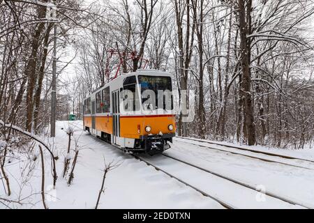 SOFIA, BULGARIA - FEBBRAIO 14 2021: Tram giallo. Inverno. Neve. Sosta nei boschi. Alberi innevati. La fermata del tram nella neve. Bella terra d'inverno Foto Stock