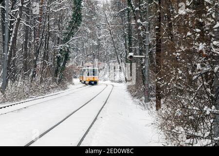 SOFIA, BULGARIA - FEBBRAIO 14 2021: Tram giallo. Inverno. Neve. Sosta nei boschi. Alberi innevati. La fermata del tram nella neve. Bella terra d'inverno Foto Stock