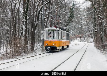 SOFIA, BULGARIA - FEBBRAIO 14 2021: Tram giallo. Inverno. Neve. Sosta nei boschi. Alberi innevati. La fermata del tram nella neve. Bella terra d'inverno Foto Stock