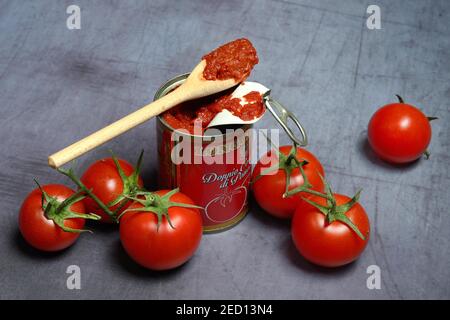 Lattone di pasta di pomodoro e pomodoro su un cucchiaio di legno, pomodori, Germania Foto Stock