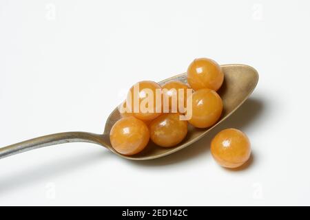 Perle di miele su un cucchiaio, sfondo bianco, Germania Foto Stock