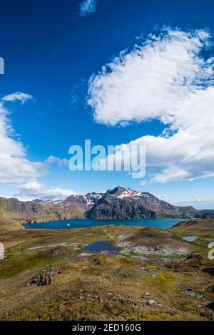 Turisti escursioni a Gothul, Georgia del Sud, Antartide Foto Stock