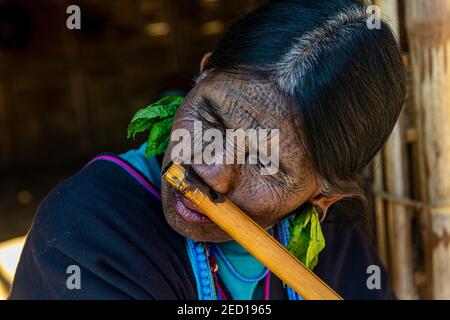 Donna di mento con tatuaggio spiderweb che soffia un flauto con il naso, Kanpelet, Chin stato, Myanmar Foto Stock