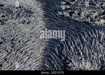 Lava a maglia o pahoehoe lava, dettaglio, Sullivan Bay, Santiago Island, Galapagos, Ecuador Foto Stock