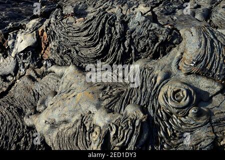 Lava a maglia o pahoehoe lava, dettaglio, Sullivan Bay, Santiago Island, Galapagos, Ecuador Foto Stock