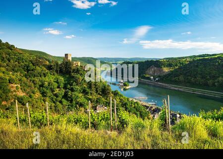 Vista del Castello di Gutenfels sul Reno, sul retro Castello di Pfalzgrafenstein, Kaub, Renania-Palatinato, Germania Foto Stock