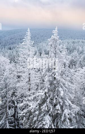 Vista dalla formazione rocciosa Rudolphstein su foresta di abete rosso con neve al Schneeberg in inverno, Fichtelgebirge, alta Franconia, Franconia Foto Stock