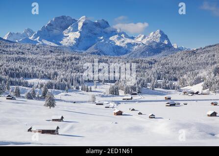 Prati ummock Winterly con il gruppo Zugspitze nei monti Wetterstein, Kruen, Werdenfelser Land, alta Baviera, Baviera, Germania Foto Stock