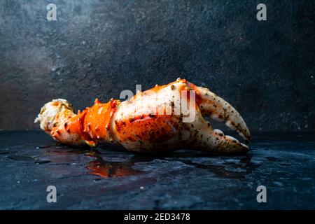 griffa granchio grande su sfondo nero Foto Stock