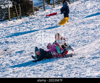 Quattro bambini che si divertono scivolando su una slitta in inverno neve e sole, East Lothian, Scozia, Regno Unito Foto Stock