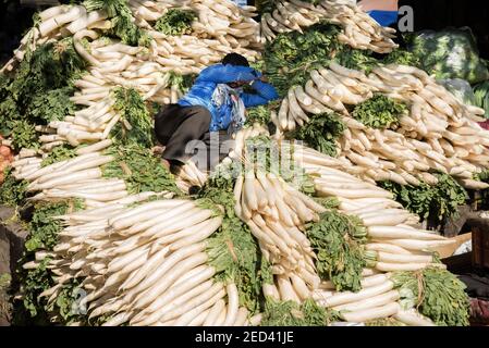 Venditore di verdure che ombreggiano e dormono nel sole del pomeriggio su un mucchio di ravanello in un mercato all'ingrosso di verdure a Chandigarh, India. Foto Stock