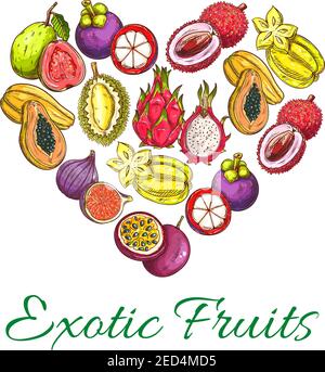 Frutti esotici forma cuore poster di arancio, papaya, durian, guava, carambola, drago frutta, lychee, feijoa, frutto della passione maracuya, longan, fichi, ramb Illustrazione Vettoriale