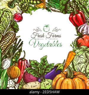 Poster delle verdure o modello di menu vegetariano. Pomodoro fresco e pepe, carota, cipolla e aglio, zucca e patate, melanzane, mais, barbabietola Illustrazione Vettoriale