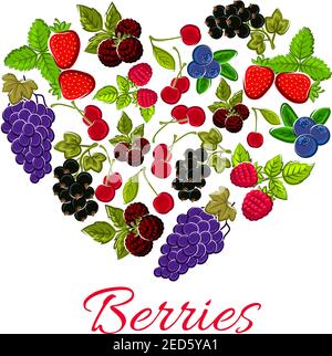 Bacche a forma di cuore. Emblema vettoriale delle uve di bosco dolce e di bacche da giardino, fragola, mirtillo, uva spina, ribes nero e rosso, ciliegia, Illustrazione Vettoriale